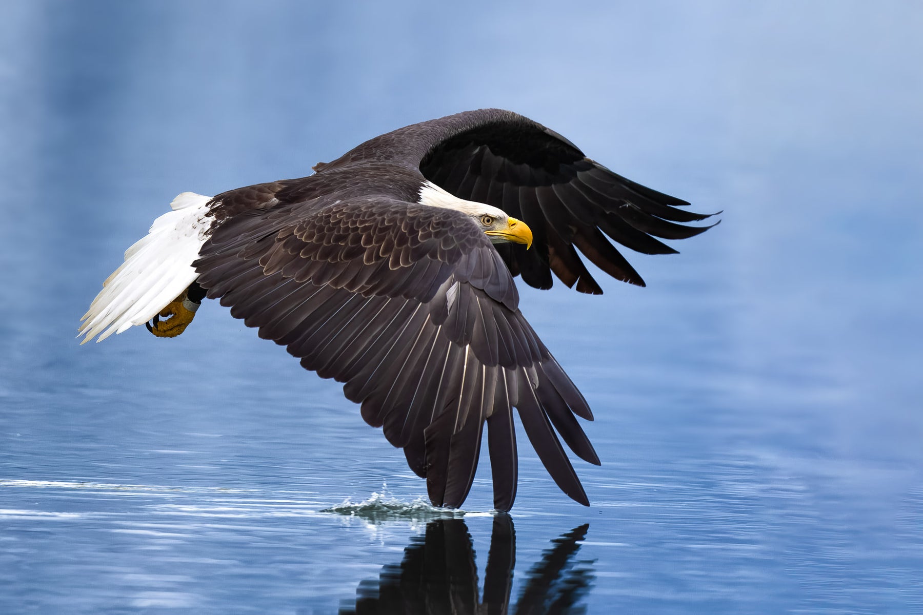 https://alphauniverseglobal.media.zestyio.com/Alpha-Universe-CameraSetup-Wildlife-Colby-Brown-8.jpg?height=1200&fit=bounds