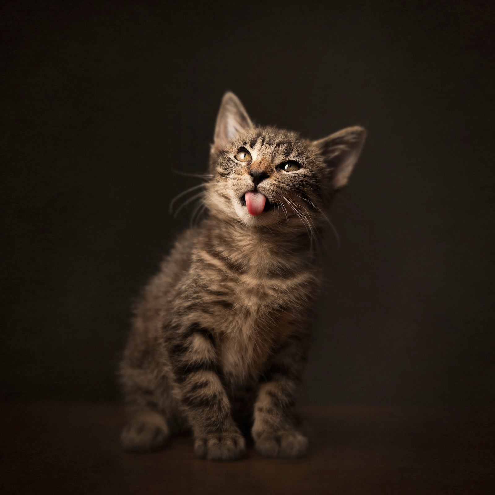 Caroline Jensen 2020-09