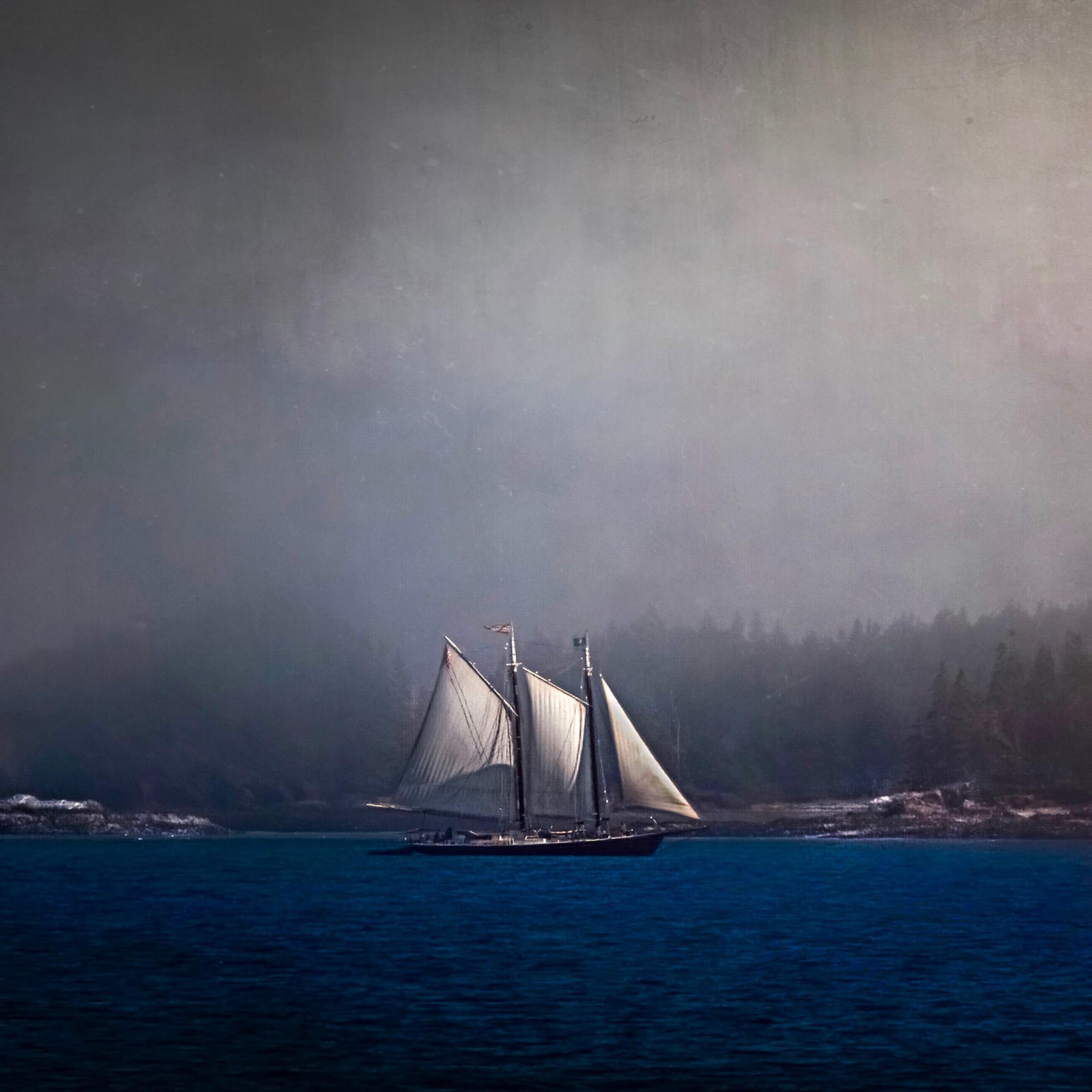 Caroline Jensen 2020-10