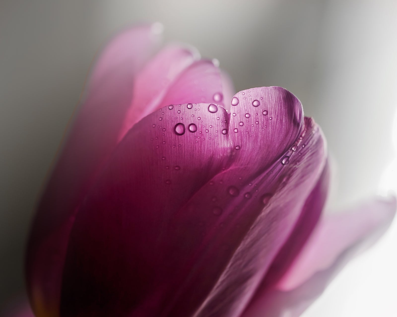 Caroline Jensen 2020-02