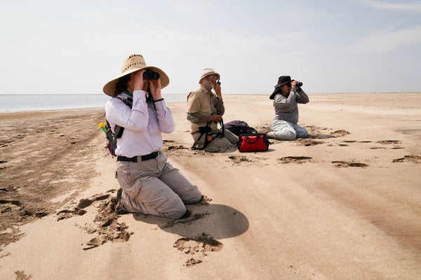 Photo by Céline Haeberly. Sony Alpha 9. Sony 24-70mm f/2.8 G Master.