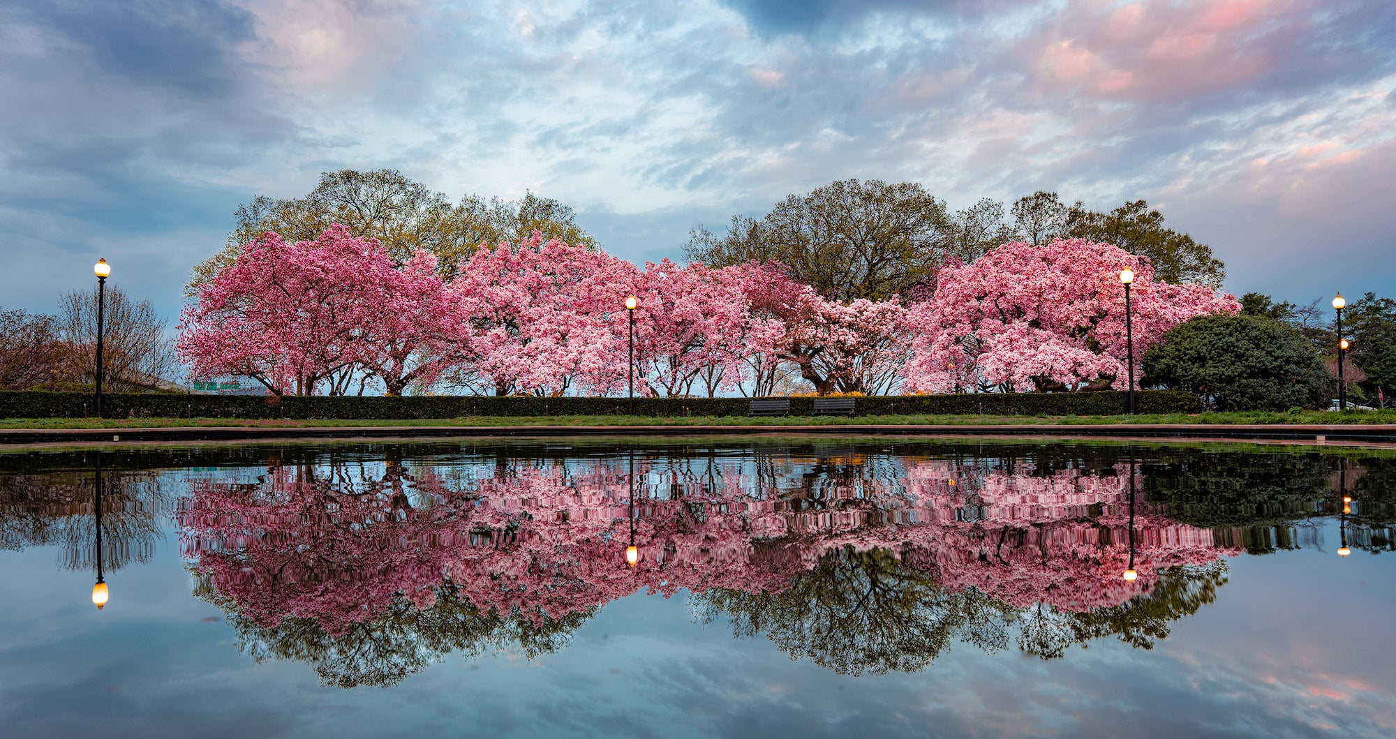 Photo by Drew Geraci. Sony Alpha 1 II. Sony 28-70mm f/2 G Master. 1/25-sec., f/4, ISO 64