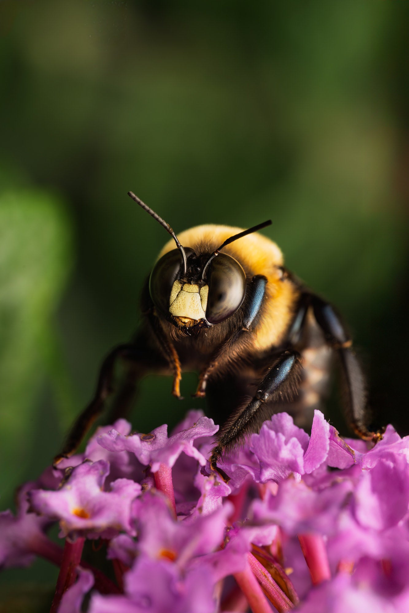 Photo by Colby Brown