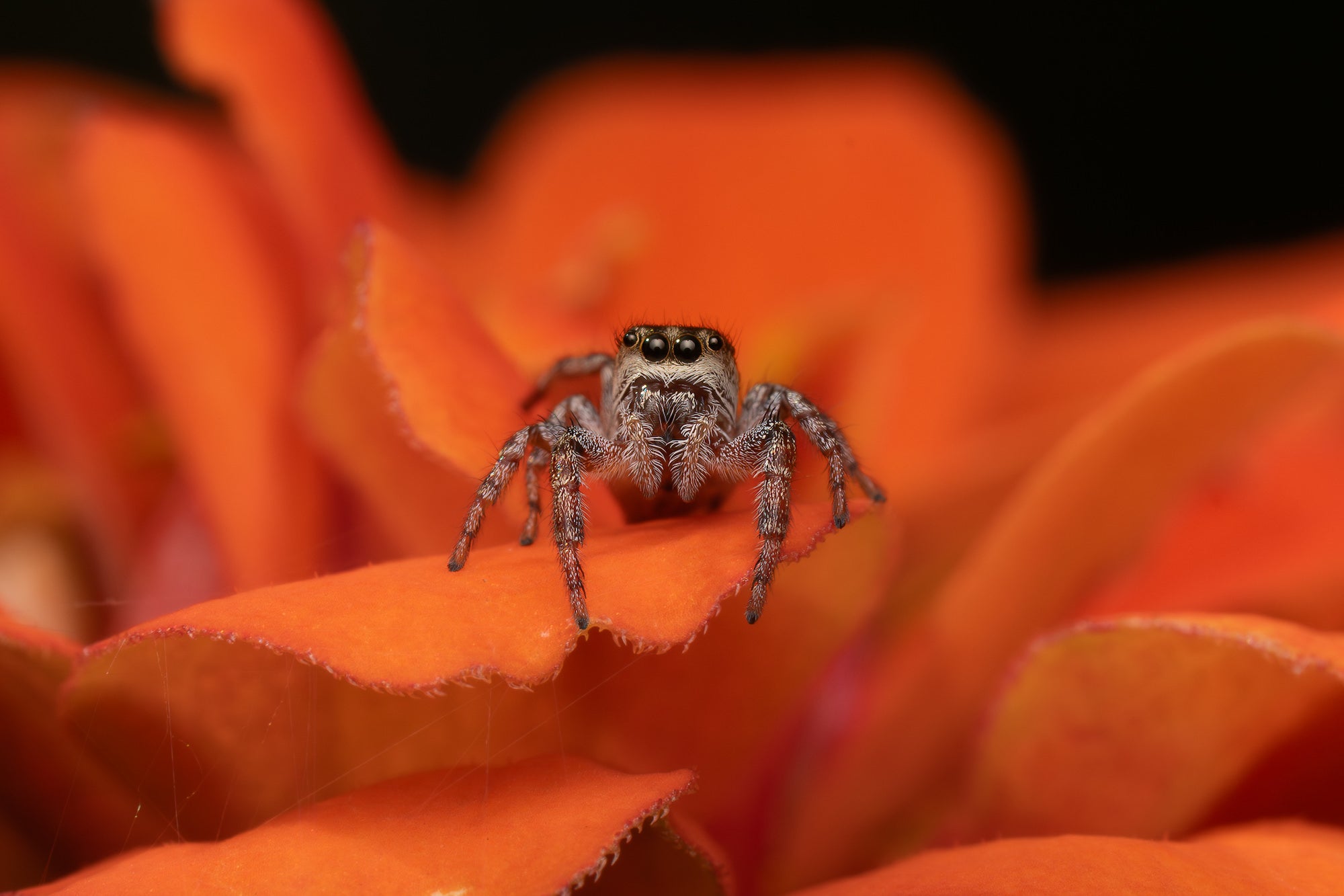 Photo by Colby Brown