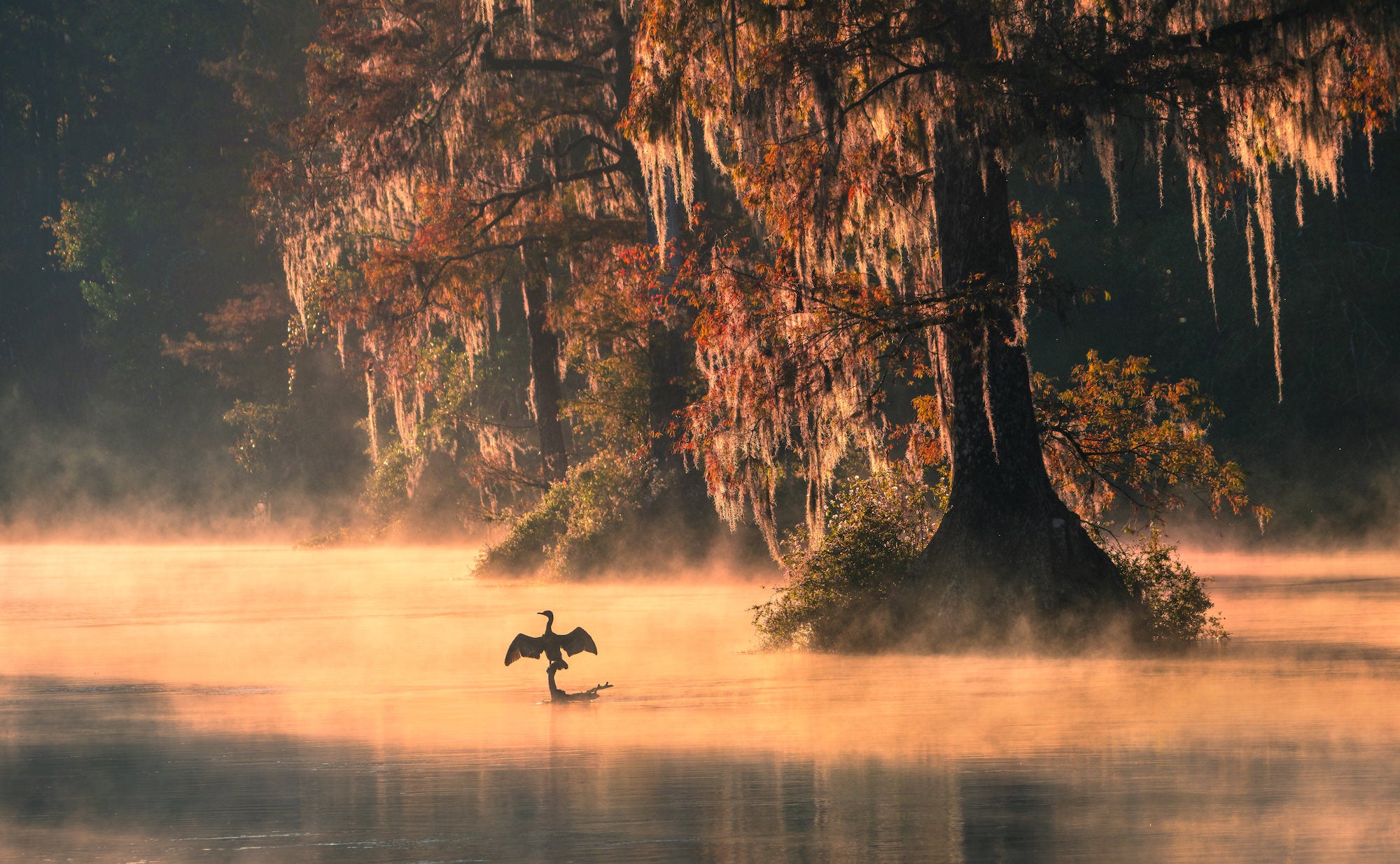 Photo by Michael Meyers