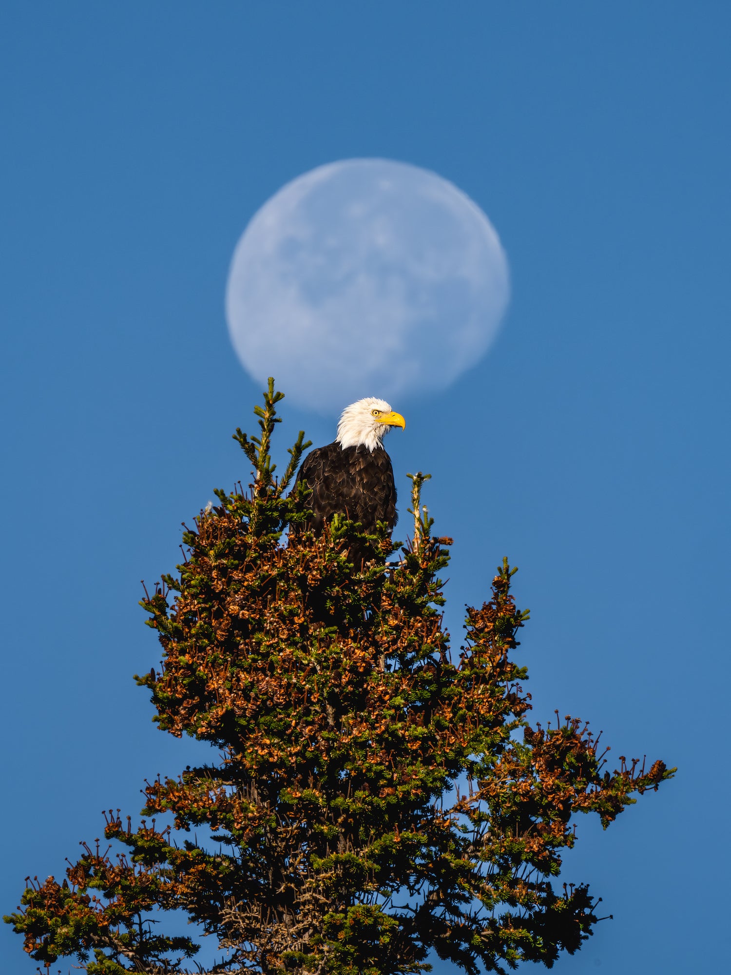 Photo by Scott Kranz