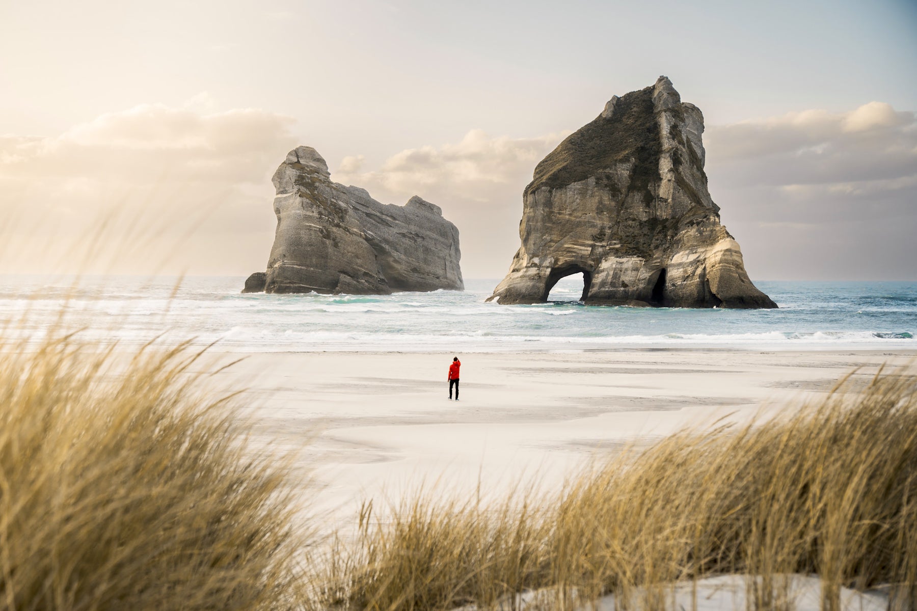 https://alphauniverseglobal.media.zestyio.com/Alpha-Universe-Domenic-Bornicke-Wharariki_Beach.jpg?height=1200&fit=bounds