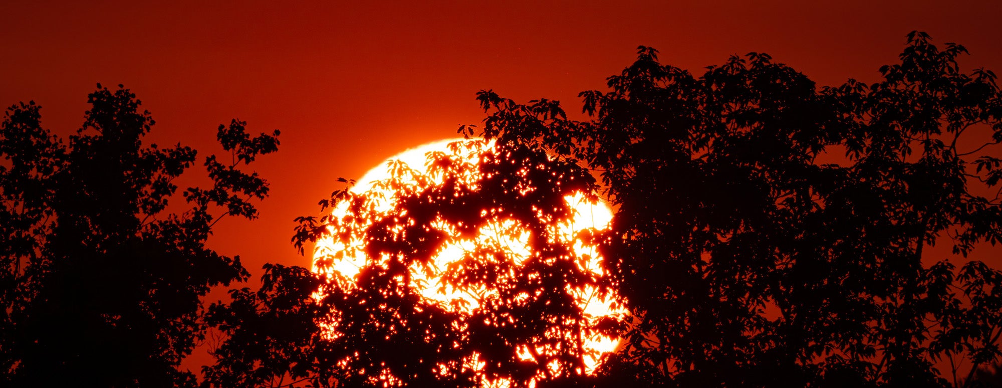 Photo by Drew Geraci. Sony Alpha 1 II. Sony 400-800mm f/6.3-8 G. 1/1600-sec., f/16, ISO 500