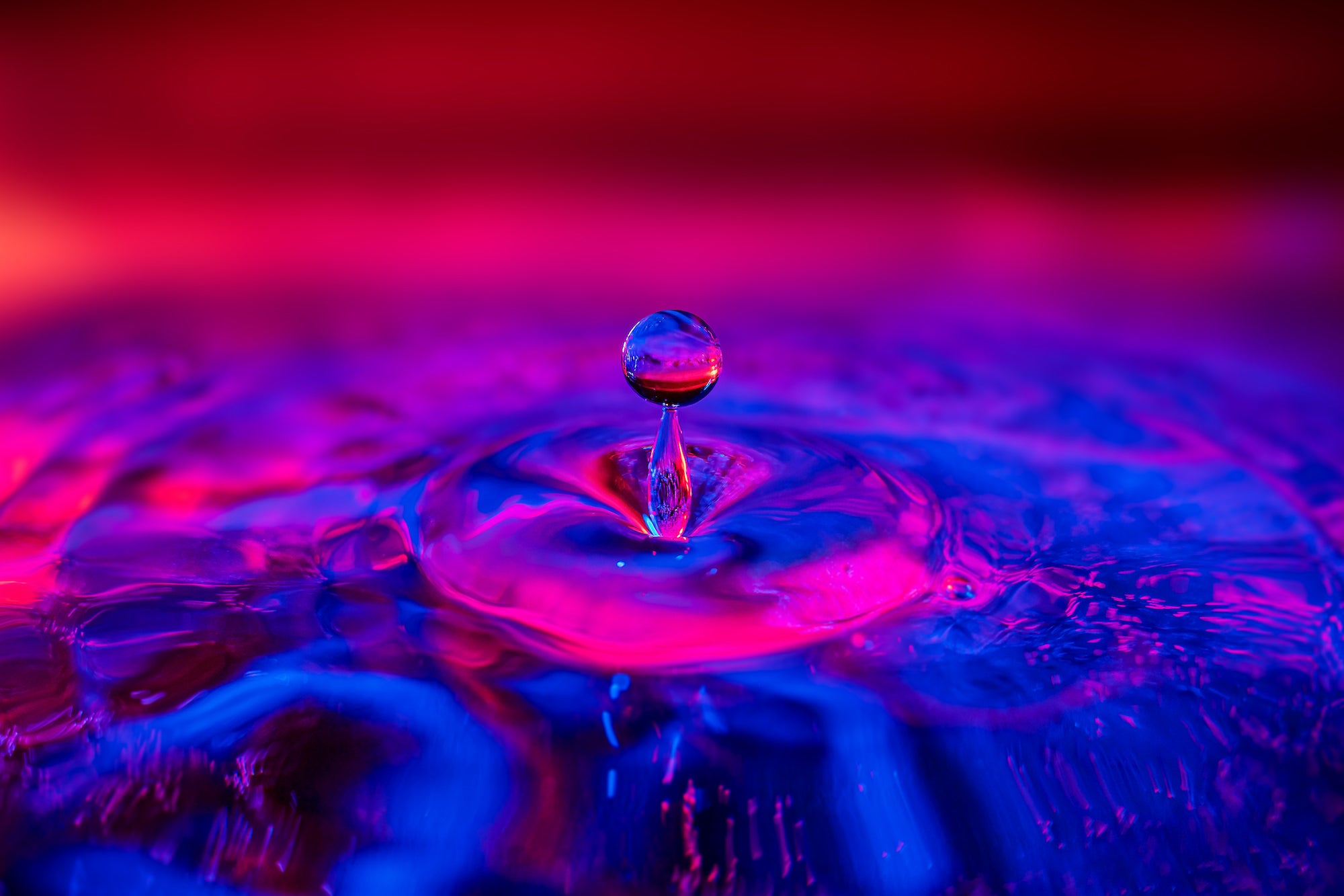 Photographer Captures Worlds in a Drop of Water