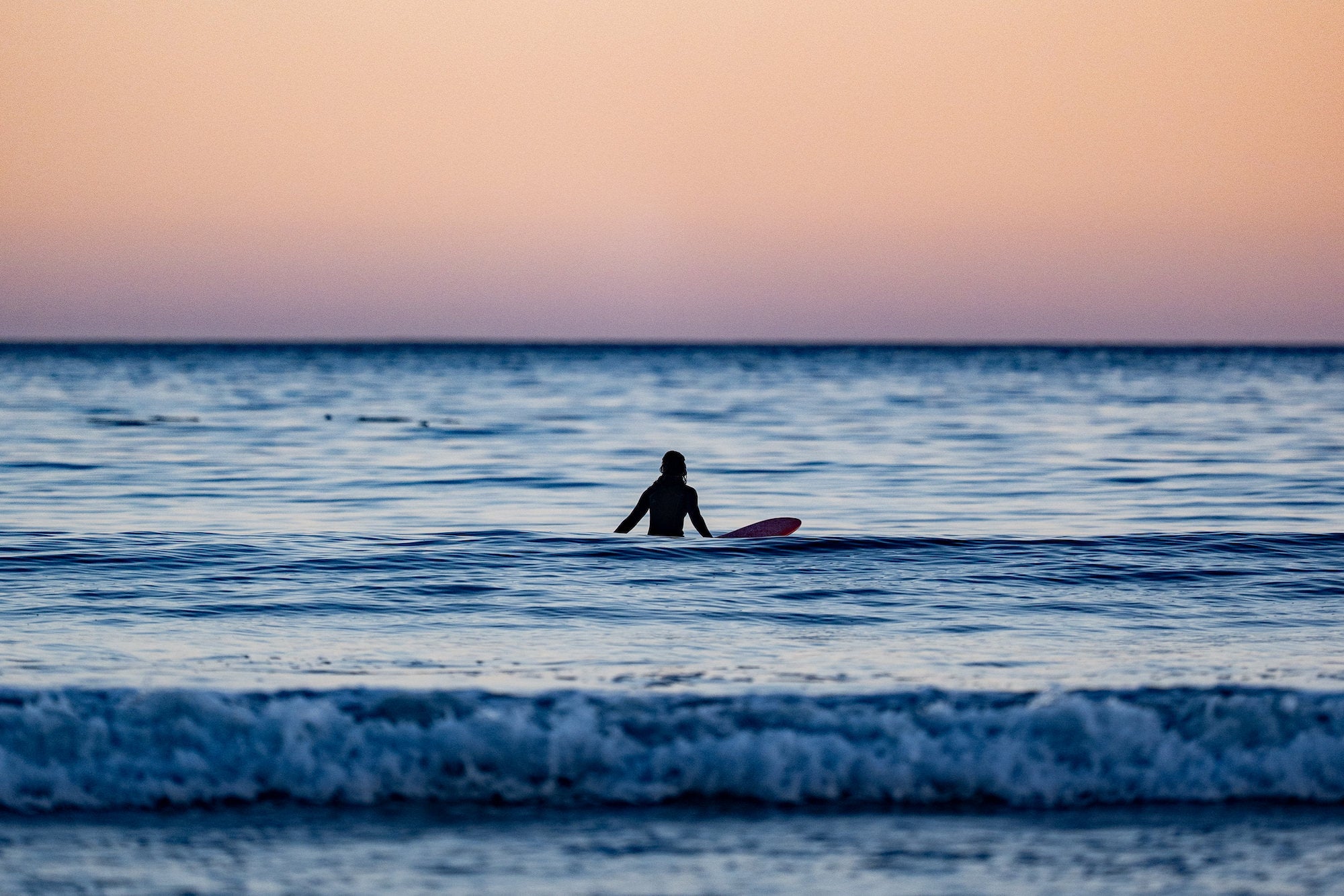 Photo by Erin Hogue. Alpha 9 III. 300mm f/2.8 G Master.