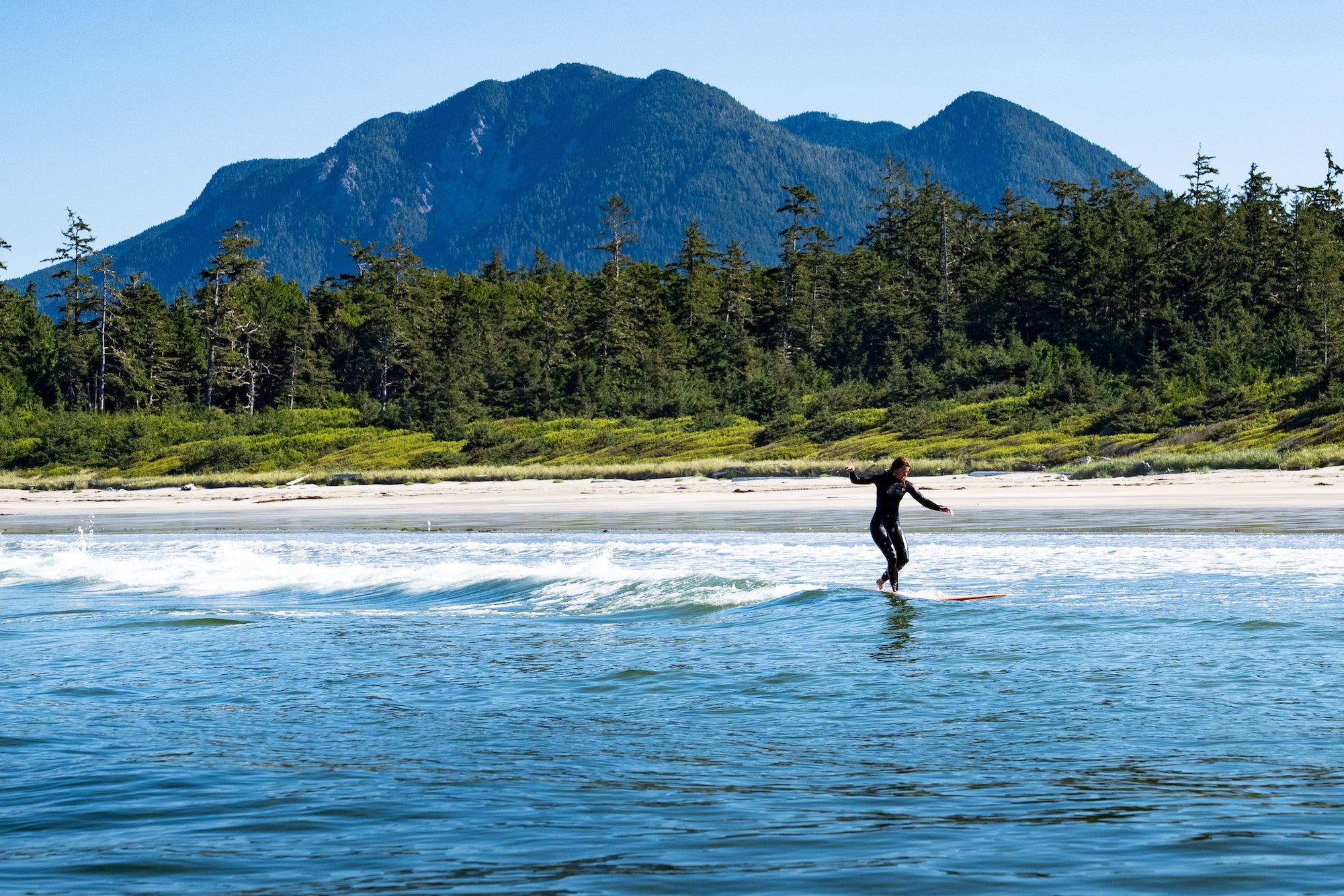 Photo by Erin Hogue. Alpha 9 III. 300mm f/2.8 G Master.