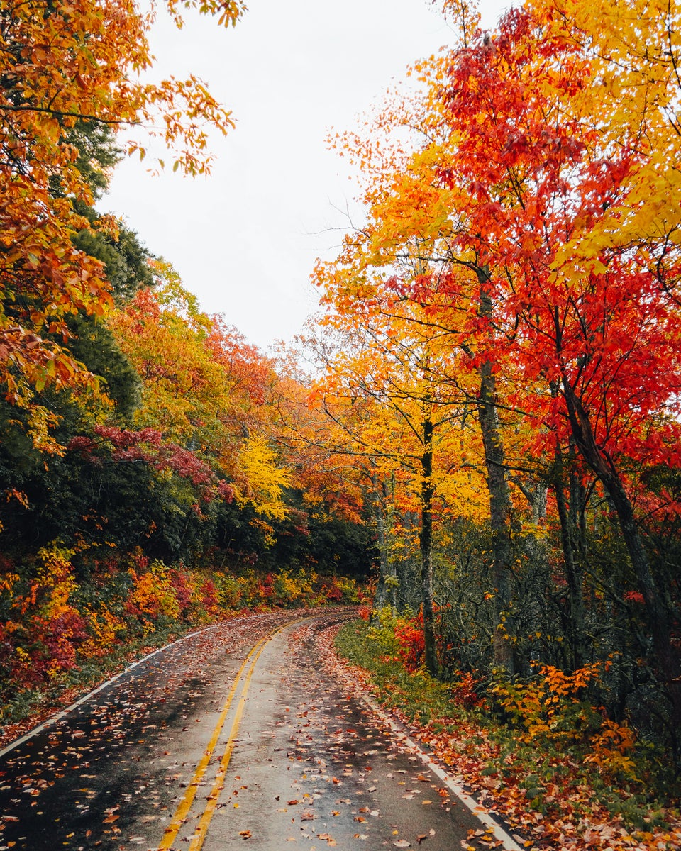 https://alphauniverseglobal.media.zestyio.com/Alpha-Universe-Fall-Color-Cate-Schweitzer-1.jpg?height=1200&fit=bounds