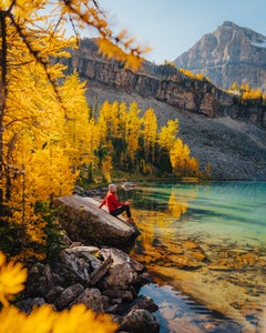 https://alphauniverseglobal.media.zestyio.com/Alpha-Universe-Fall-Color-Cate-Schweitzer-10.jpg?height=300&fit=bounds