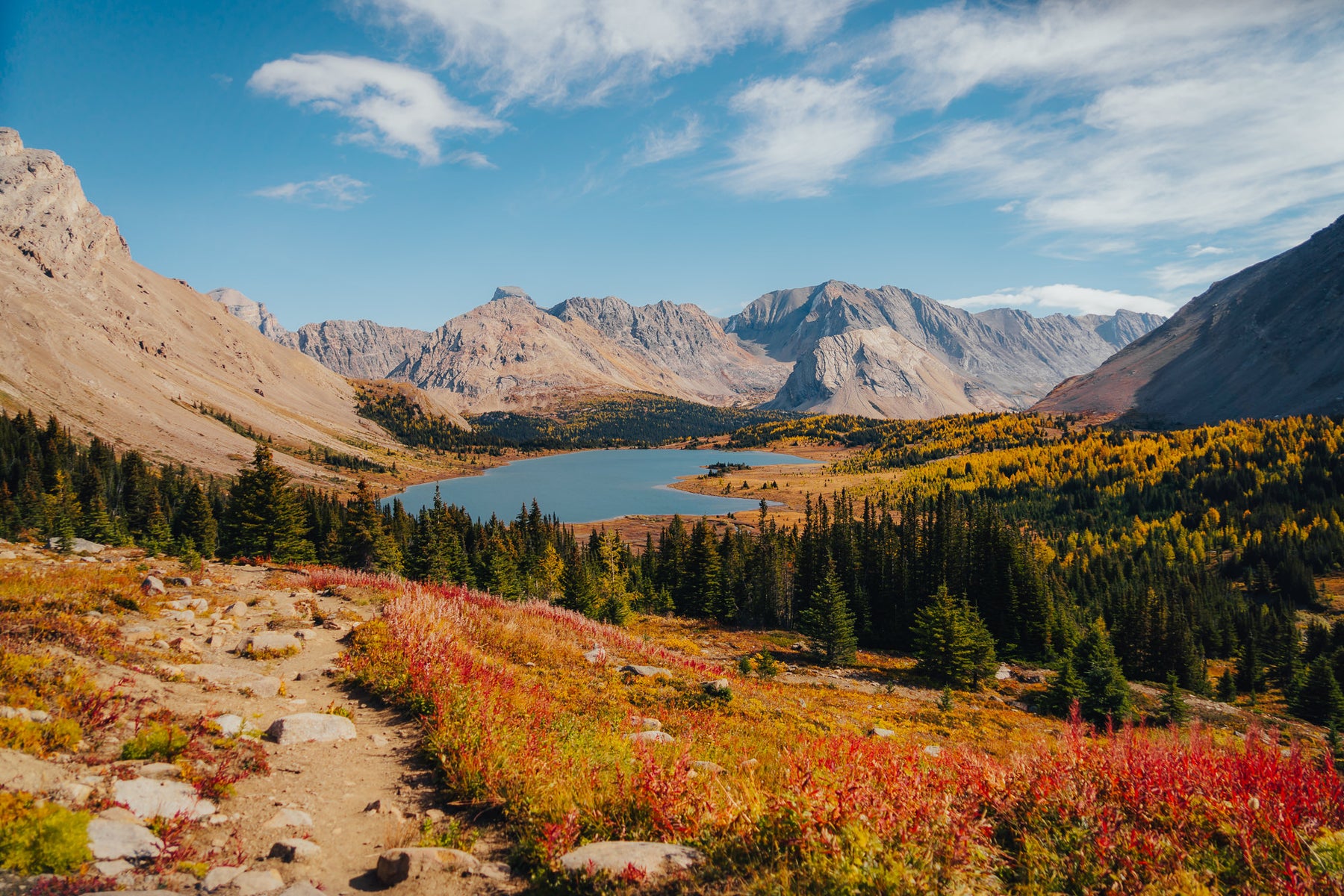 https://alphauniverseglobal.media.zestyio.com/Alpha-Universe-Fall-Color-Cate-Schweitzer-11.jpg?height=1200&fit=bounds