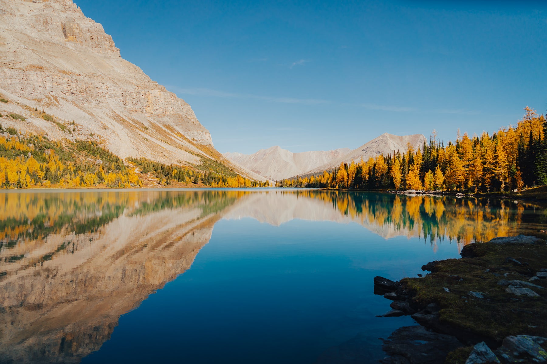 https://alphauniverseglobal.media.zestyio.com/Alpha-Universe-Fall-Color-Cate-Schweitzer-12.jpg?height=1200&fit=bounds
