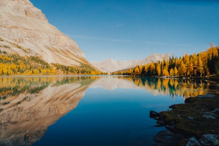 https://alphauniverseglobal.media.zestyio.com/Alpha-Universe-Fall-Color-Cate-Schweitzer-12.jpg?height=300&fit=bounds