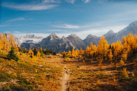 https://alphauniverseglobal.media.zestyio.com/Alpha-Universe-Fall-Color-Cate-Schweitzer-13.jpg?height=300&fit=bounds
