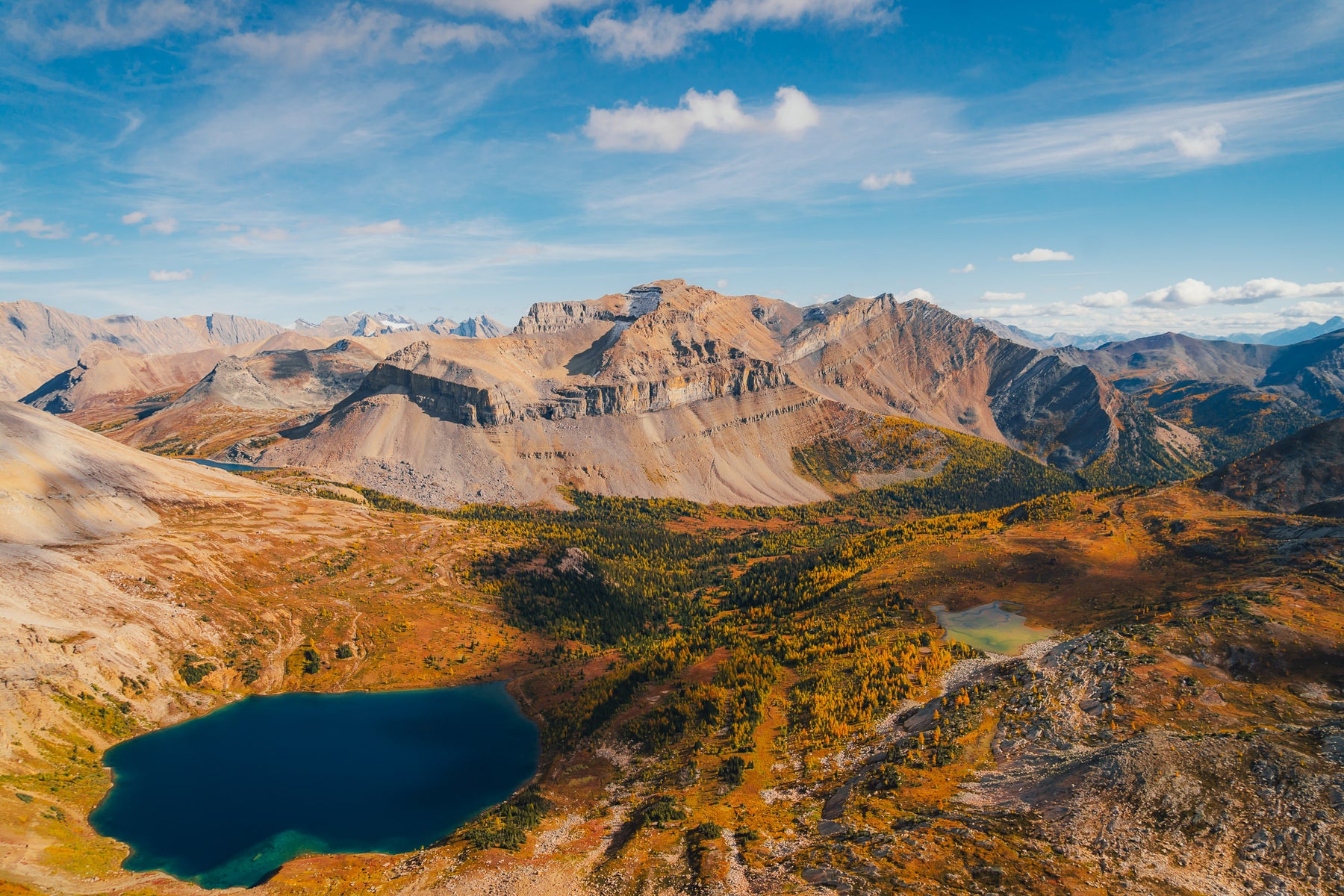 https://alphauniverseglobal.media.zestyio.com/Alpha-Universe-Fall-Color-Cate-Schweitzer-14.jpg?height=1200&fit=bounds