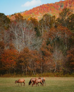 https://alphauniverseglobal.media.zestyio.com/Alpha-Universe-Fall-Color-Cate-Schweitzer-3.jpg?height=300&fit=bounds
