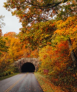 https://alphauniverseglobal.media.zestyio.com/Alpha-Universe-Fall-Color-Cate-Schweitzer-4.jpg?height=300&fit=bounds