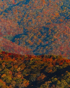 https://alphauniverseglobal.media.zestyio.com/Alpha-Universe-Fall-Color-Cate-Schweitzer-5.jpg?height=300&fit=bounds