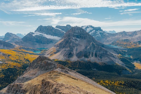 https://alphauniverseglobal.media.zestyio.com/Alpha-Universe-Fall-Color-Cate-Schweitzer-7.jpg?height=300&fit=bounds