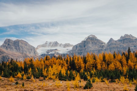 https://alphauniverseglobal.media.zestyio.com/Alpha-Universe-Fall-Color-Cate-Schweitzer-8.jpg?height=300&fit=bounds