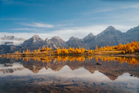 https://alphauniverseglobal.media.zestyio.com/Alpha-Universe-Fall-Color-Cate-Schweitzer-9.jpg?height=300&fit=bounds