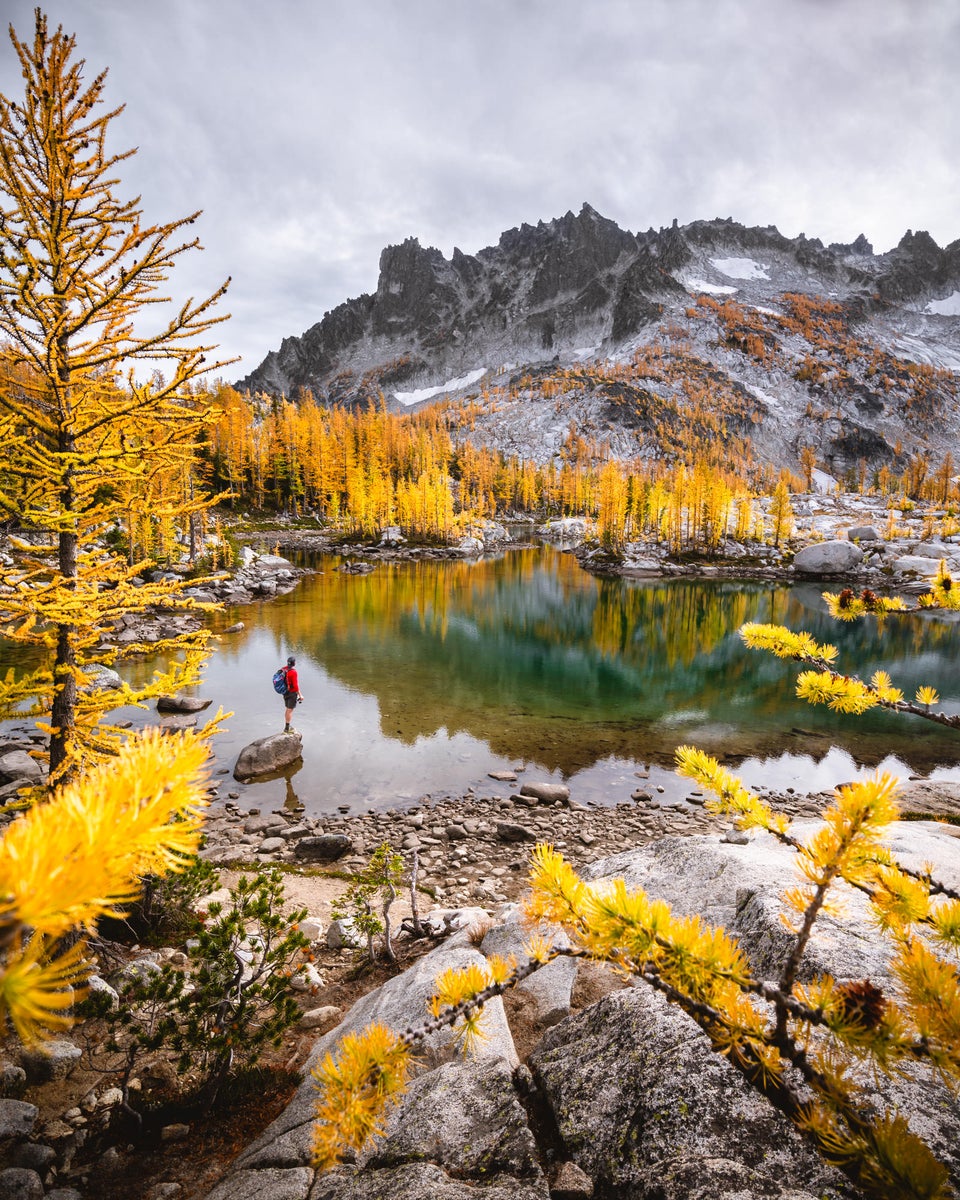 https://alphauniverseglobal.media.zestyio.com/Alpha-Universe-Fall-Color-Jesse-Roos-1.jpg?height=1200&fit=bounds