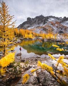 https://alphauniverseglobal.media.zestyio.com/Alpha-Universe-Fall-Color-Jesse-Roos-1.jpg?height=300&fit=bounds