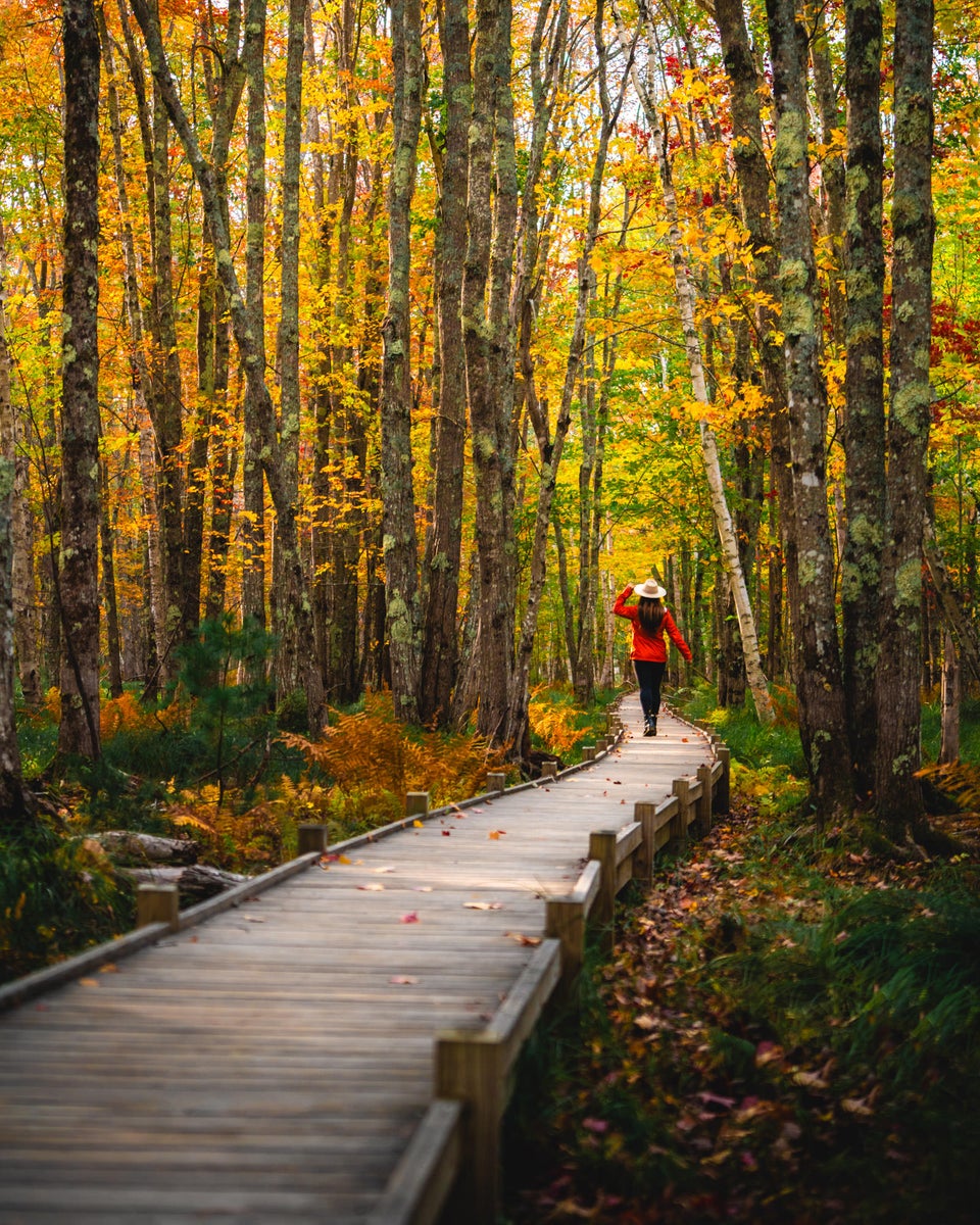 https://alphauniverseglobal.media.zestyio.com/Alpha-Universe-Fall-Color-Jesse-Roos-10.jpg?height=1200&fit=bounds