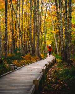 https://alphauniverseglobal.media.zestyio.com/Alpha-Universe-Fall-Color-Jesse-Roos-10.jpg?height=300&fit=bounds