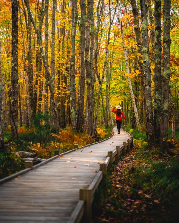 Photo by Jesse Roos. Sony Alpha 7R II. Sony 70-200mm f/4 G. 1/800-sec., f/4, ISO 500