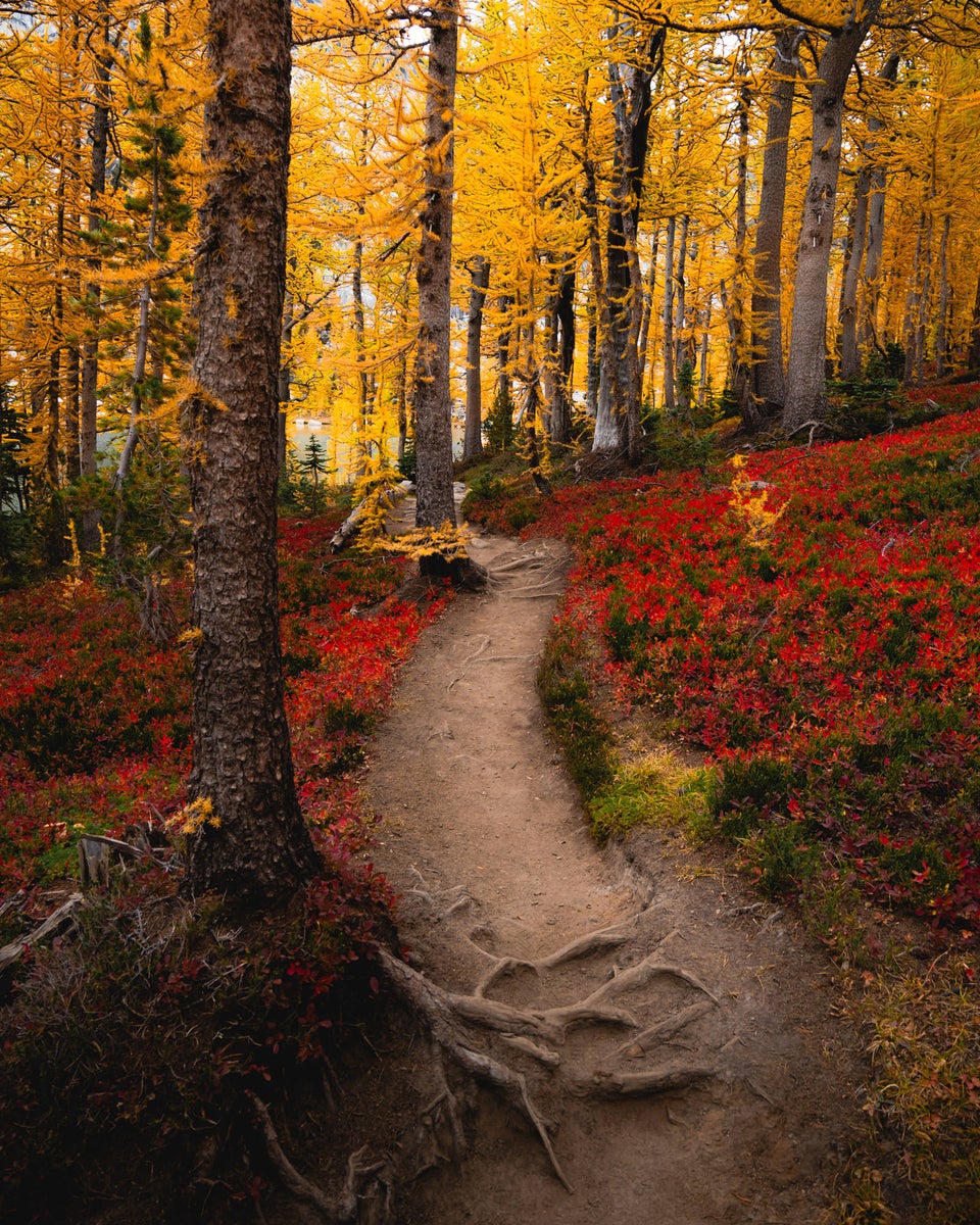 https://alphauniverseglobal.media.zestyio.com/Alpha-Universe-Fall-Color-Jesse-Roos-2.jpg?height=1200&fit=bounds