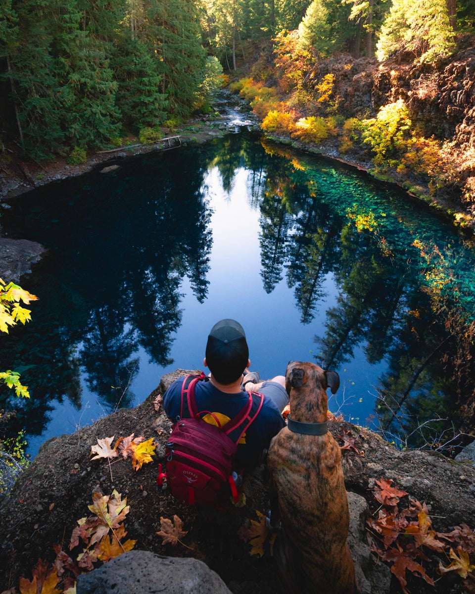 https://alphauniverseglobal.media.zestyio.com/Alpha-Universe-Fall-Color-Jesse-Roos-4.jpg?height=1200&fit=bounds