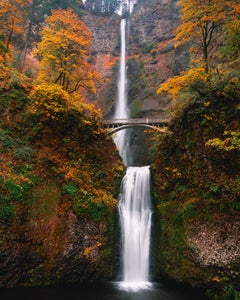 https://alphauniverseglobal.media.zestyio.com/Alpha-Universe-Fall-Color-Jesse-Roos-5.jpg?height=300&fit=bounds