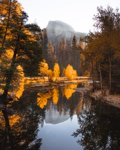https://alphauniverseglobal.media.zestyio.com/Alpha-Universe-Fall-Color-Jesse-Roos-6.jpg?height=300&fit=bounds