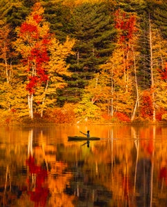 https://alphauniverseglobal.media.zestyio.com/Alpha-Universe-Fall-Color-Jesse-Roos-9.jpg?height=300&fit=bounds