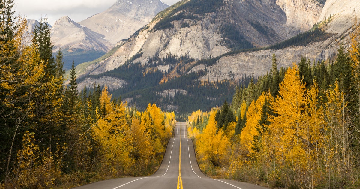 How A Colorblind Photographer Captures Fall's Fleeting Colors | Sony ...