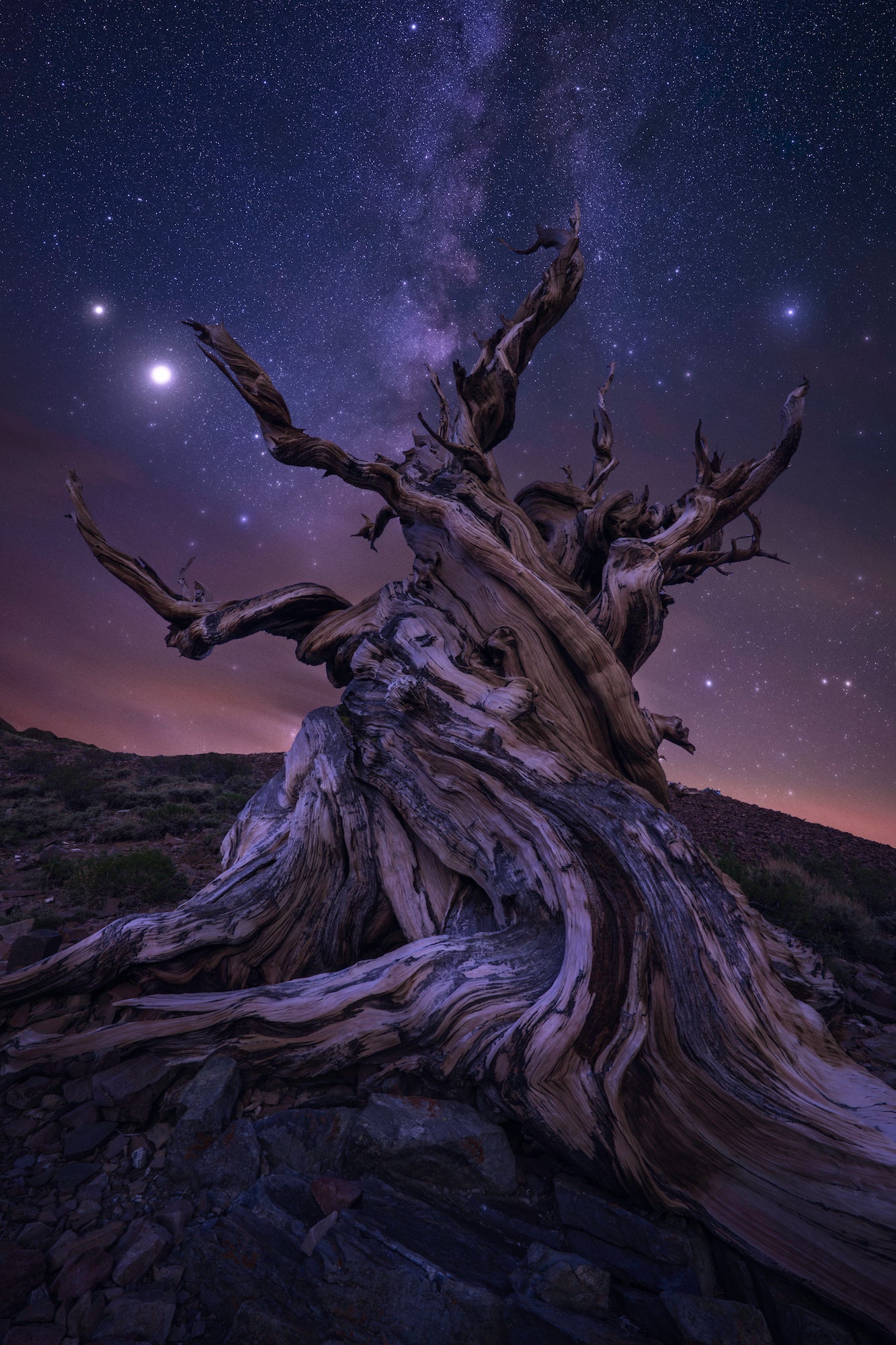 The Perfect Zoom For Astro: How This Stunning Milky Way