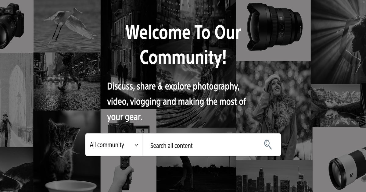 Start Your Photography Journey In The Alpha Universe Forums Sony