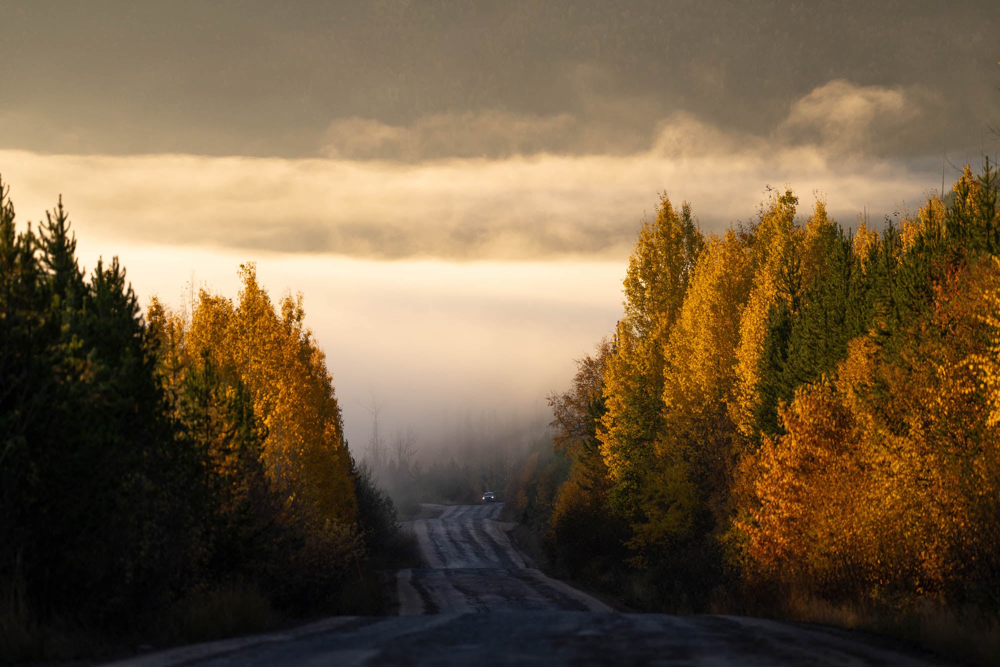 Photo by Jude Allen. Sony Alpha 7R V. Sony 70-200mm f/2.8 G Master II. 1/800-sec., f/2.8, ISO 100