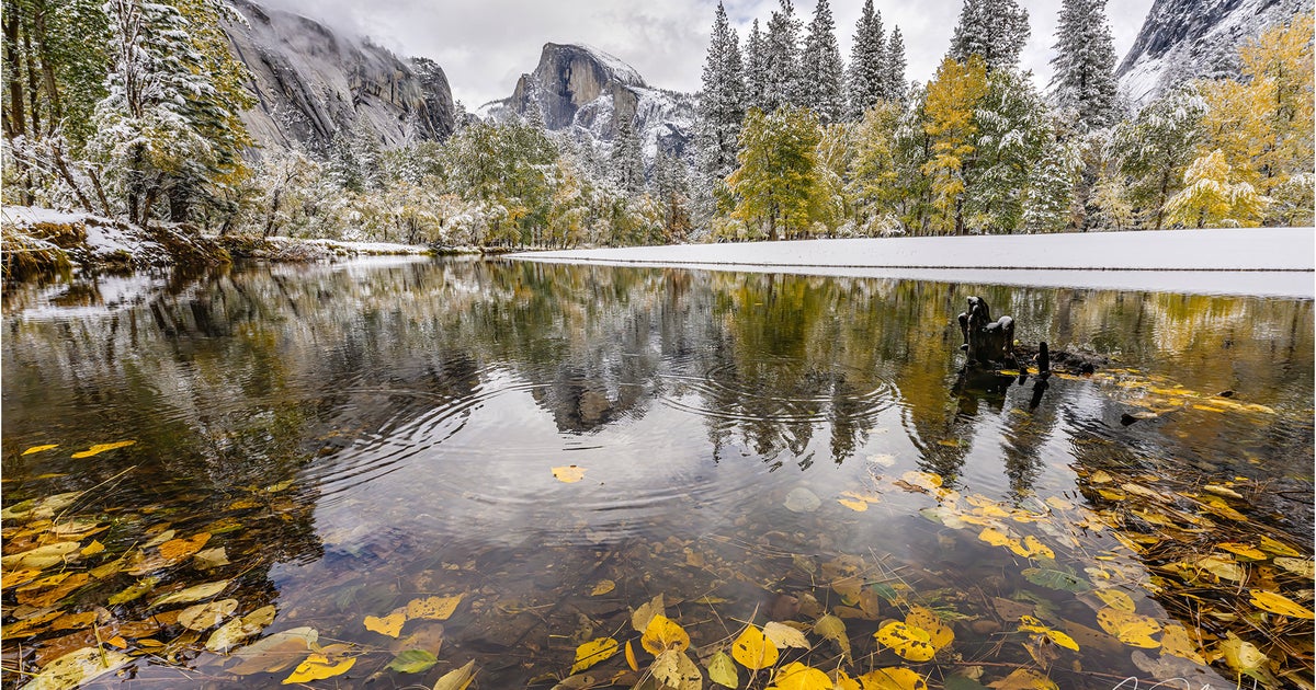 5 Pro Tips For Fall Color Photos | Sony | Alpha Universe