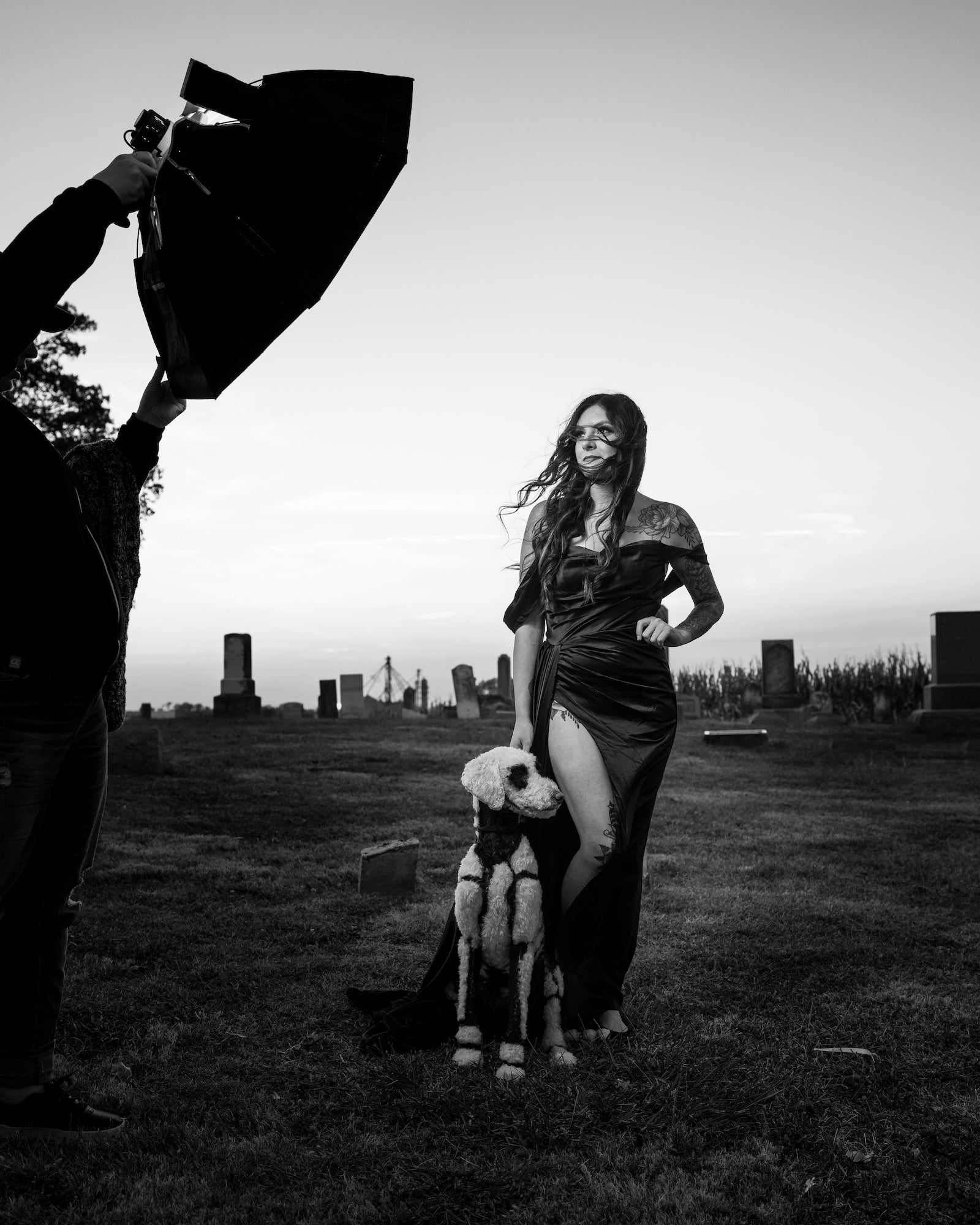 Behind-the-scenes of Garrette Baird's Halloween pet portrait photo shoot