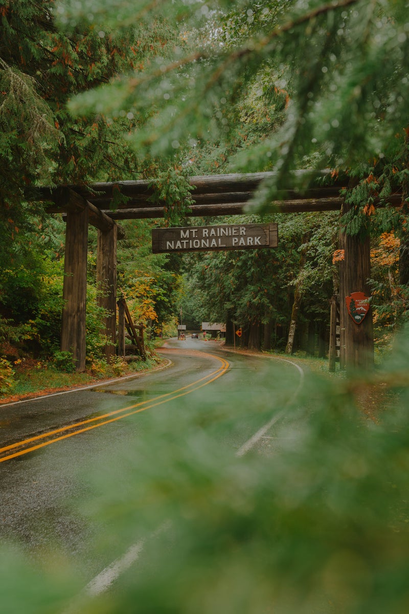 A Content Creator's Guide To Gear, Taking Chances & Building Community ...