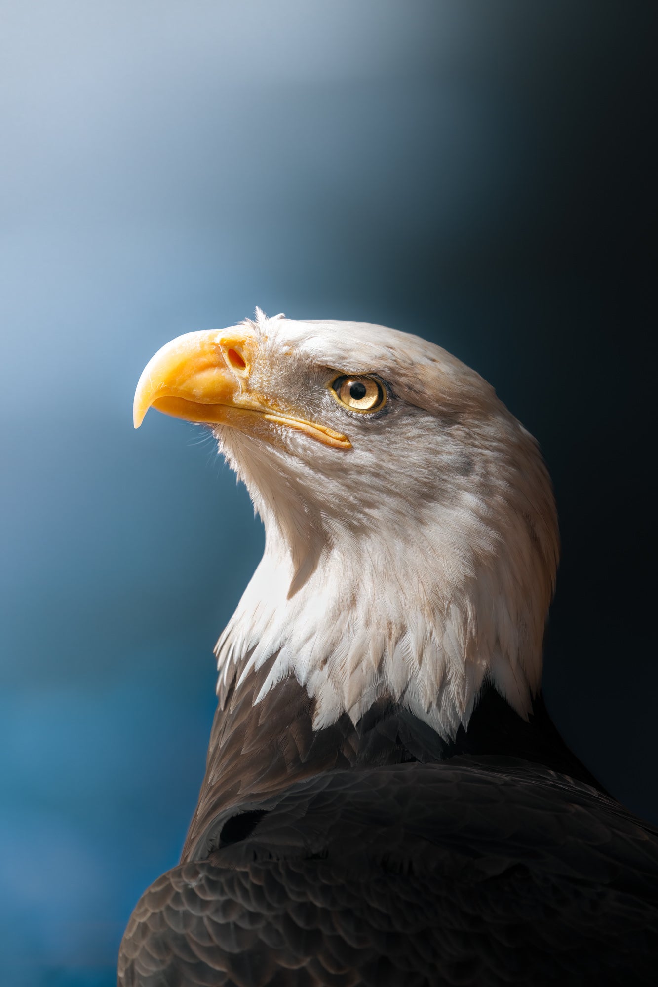 Photo by Hayden Dumaw. Alpha 7R IV. 200-600mm f/5.6-6.3 G. 1/800-sec., f/6.3, ISO 160