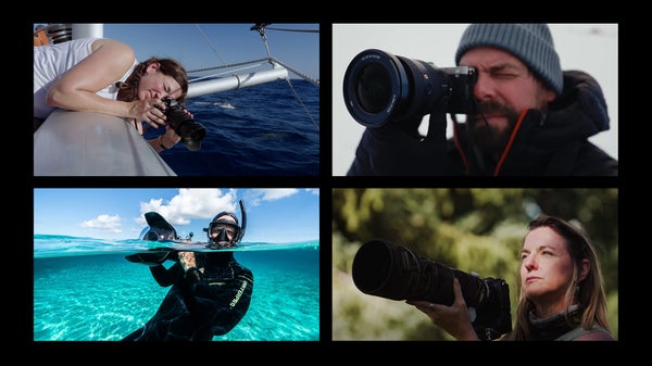 Conservation photographers