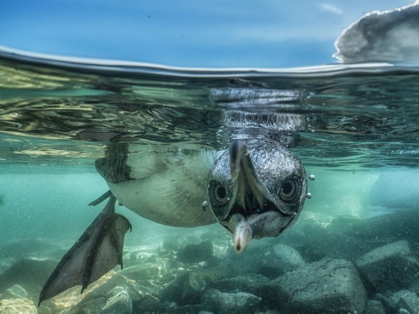 Photo by Cristina Mittermeier (while on assignment for National Geographic)