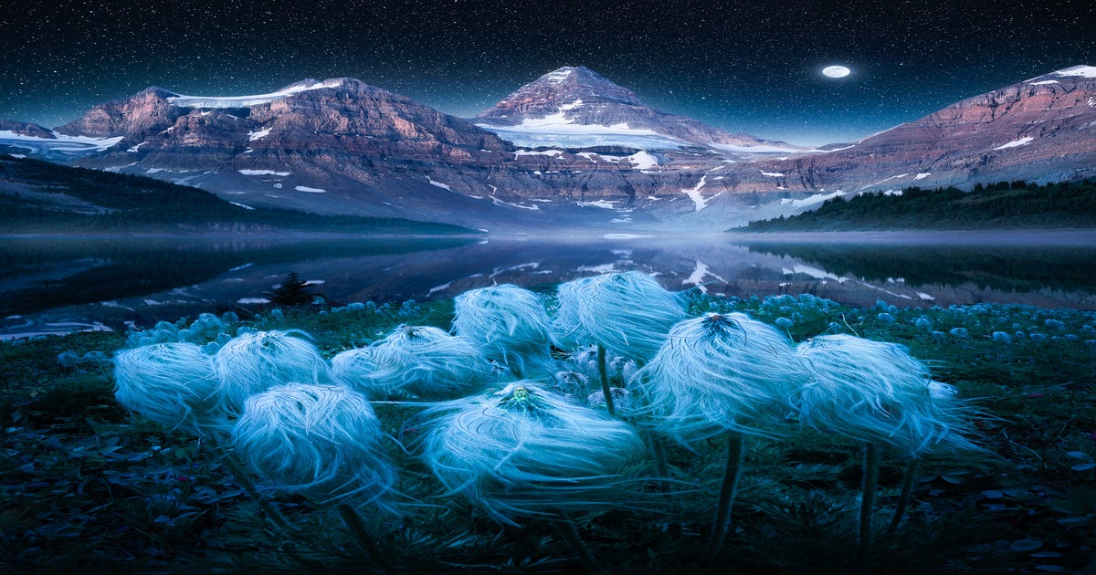 Under A Blanket Of Stars Get Inspired By These Astrophotographers