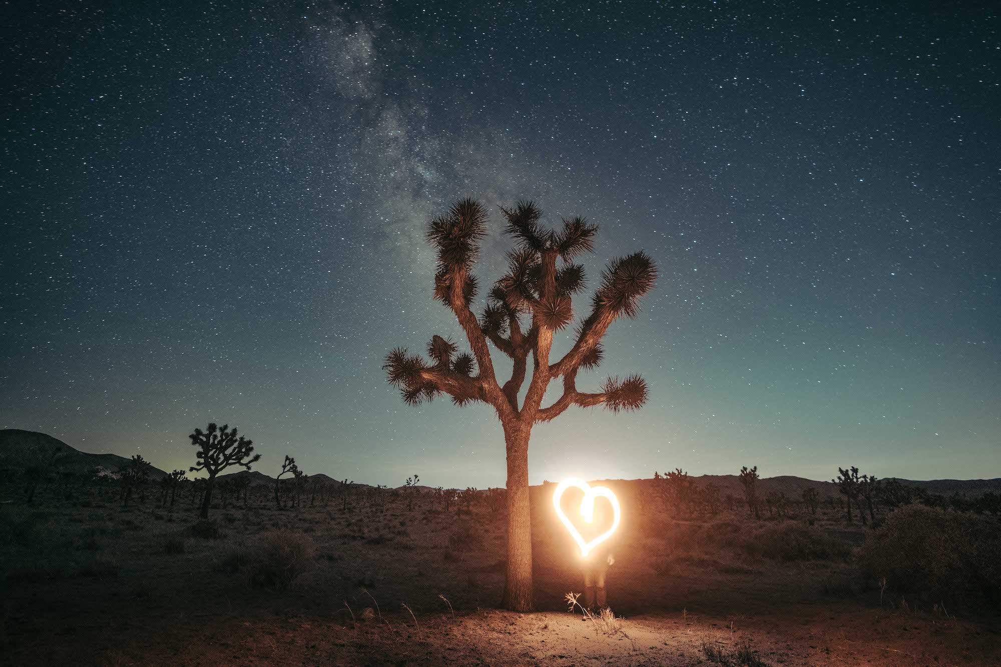 Photo by Jude Allen. Sony Alpha 1. Sony 16-35mm f/2.8 G Master. 30-sec., f/2.8, ISO 4000